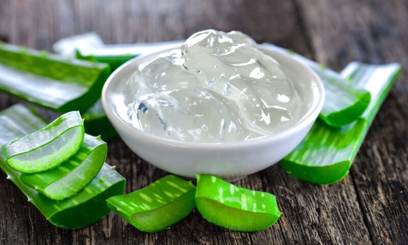 aloe vera